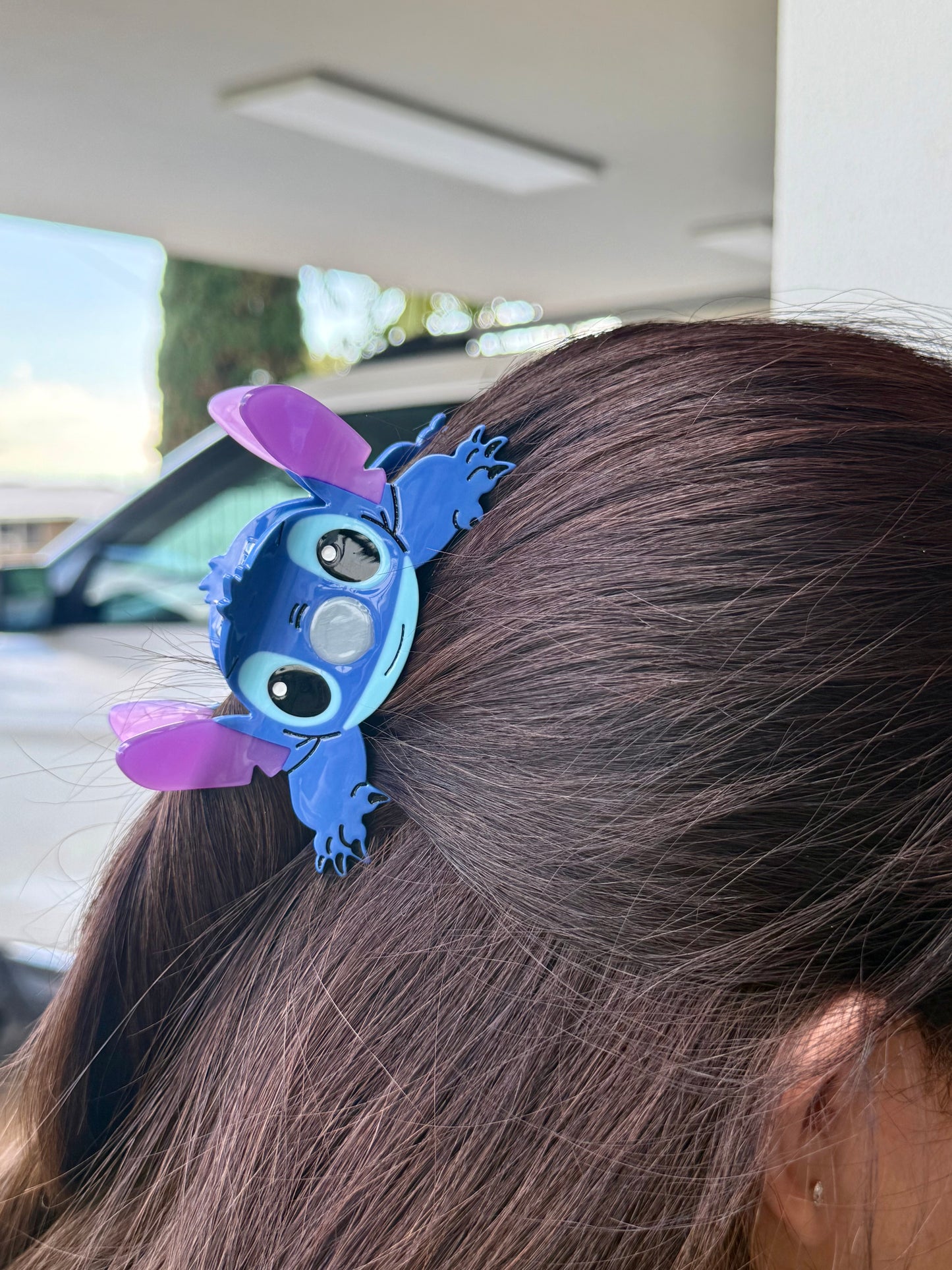 Claw Clip