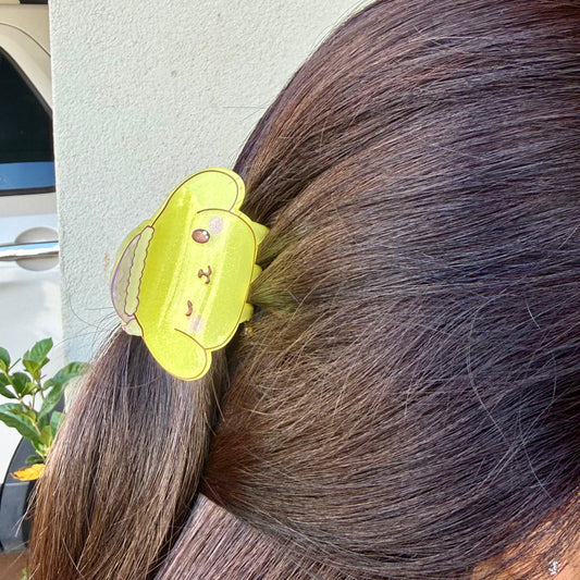 Claw Clip