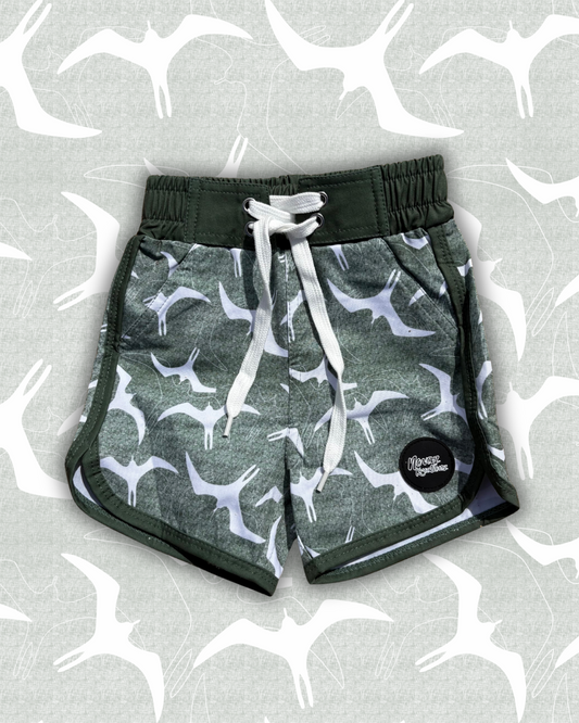 Iwa Board Shorts