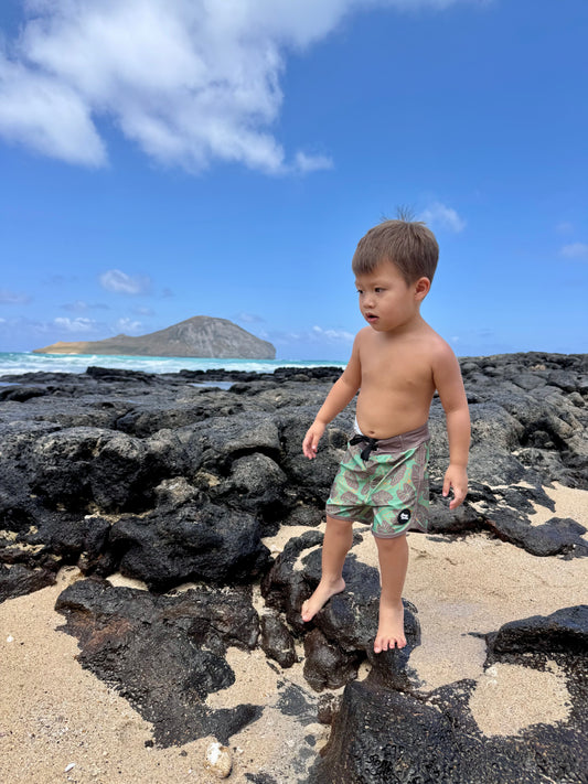 Ka'ikena Swim Shorts